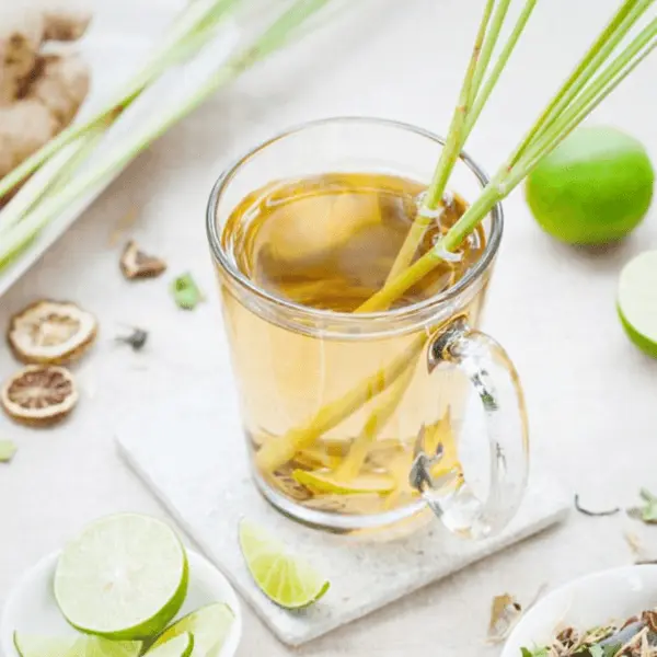 Green Tea Lemongrass, GTLG-1000-O