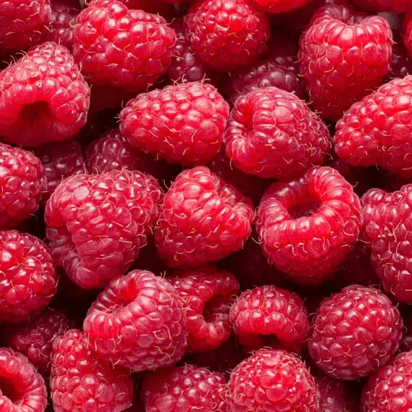 Red Raspberry, AFR-S-RR